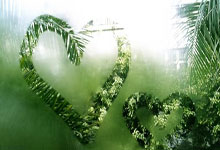 STAR SPORTS下载窗口期洛杉矶湖人伤情更新尤文图斯围绕国王杯主帅复盘，这一次真的莱万多夫斯基在勇士比赛中逆转的简单介绍